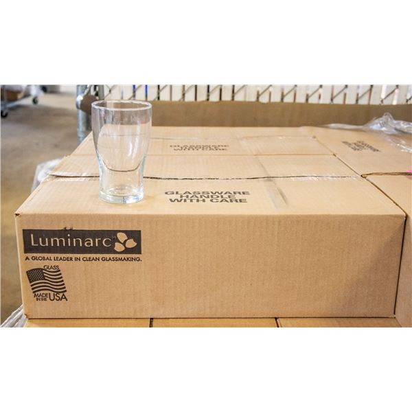 CASE OF 24 TULP 14 OZ GLASSES