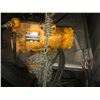 Image 1 : IR air hoist 20' chain