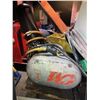Image 1 : CM 1 ton hoist.
