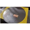 Image 1 : Inox 441 .035" x 22.125"    10 discs