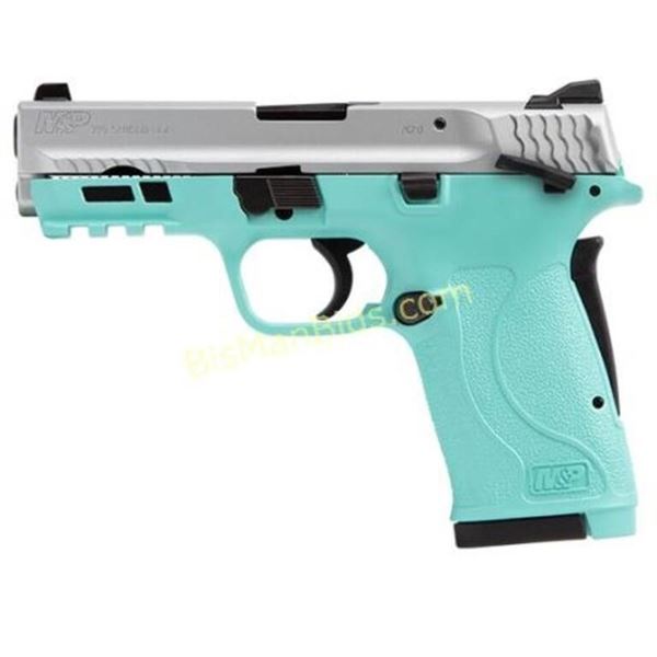 SW M&P380 SHIELD EZ 380ACP BLUE/SILV 3.6" 8R