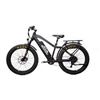 Image 1 : Bakcou Flatlander E-Bike in Black!