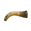 Image 1 : Bull Eagle's Powder Horn