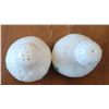Image 5 : BELLEEK SHAMROCK SALT & PEPPER SHAKER SET