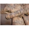 Image 2 : LOT OF 6 DECORATIVE AND BED PILLOWS