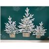 Image 2 : Flocked Trees With LED Lights Set Of 3