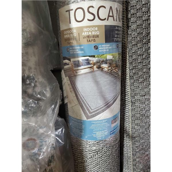 Toscana Indoor/Outdoor Area Rug 7'x10'