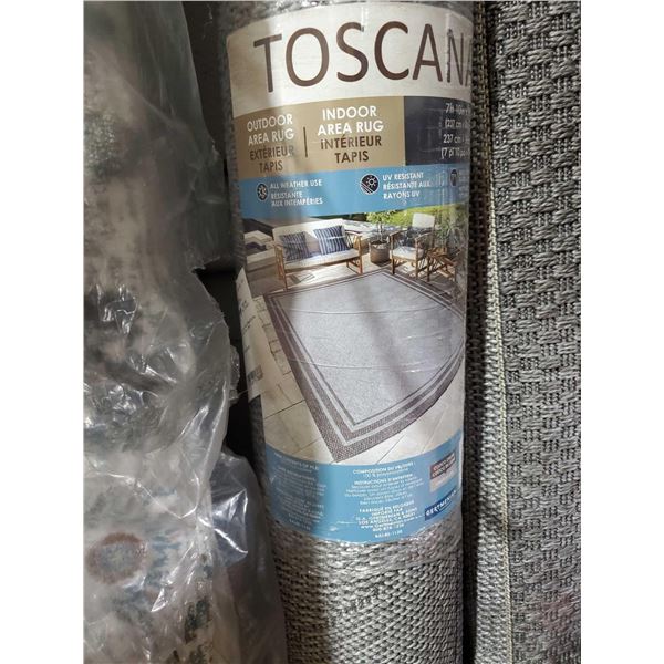 Toscana Indoor/Outdoor Area Rug  7'x10'