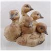 Image 1 : 'Ducklings'' Ceramic Pottery Figurine