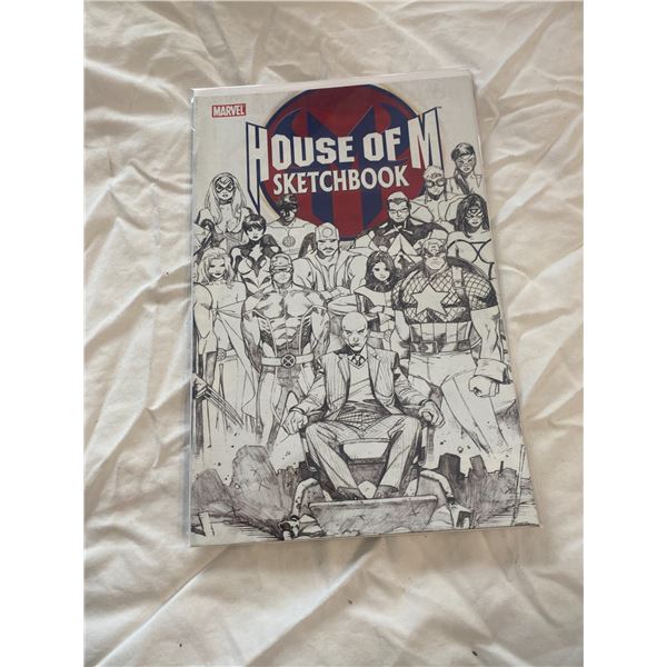 Maeve House of M sketchbook