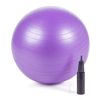 Image 1 : BLUE EXERCISE BALL + PUMP
