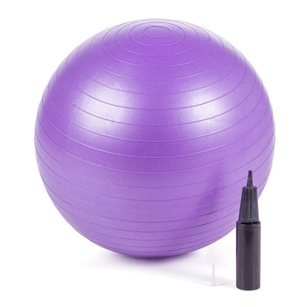 BLUE EXERCISE BALL + PUMP