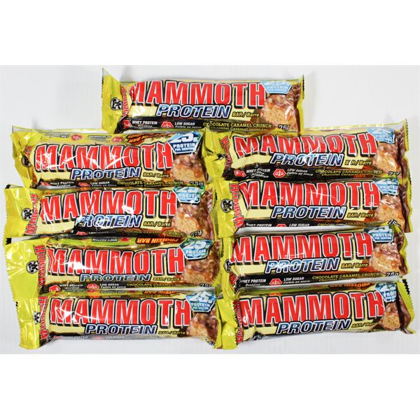 9 MAMMOTH BAR CHOCOLATE CARAMEL SINGLES