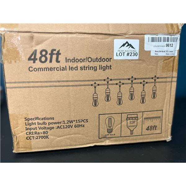 Lot of 1 48FT Indoor/Outdoor LED String Light Set w/ Edison Style Bulbs
