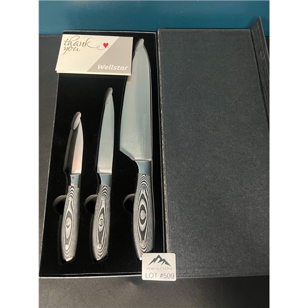 Lot of 1 Wellstar 3PC German Steel Kitchen Knife Set