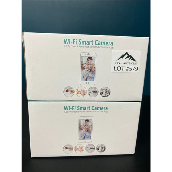 Lot of 2 Wifi Smart Security Cameras