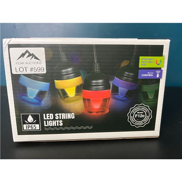 Lot of 1 LED Multi-Colour Outdoor String Lights