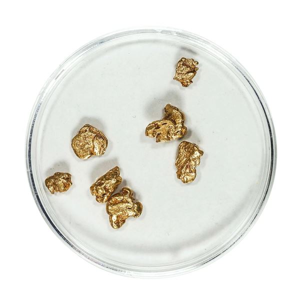 Gold Nuggets 2.74 Grams Total Weight