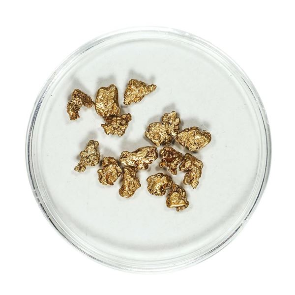 Gold Nuggets 3.28 Grams Total Weight