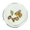 Image 1 : Lot of Gold Nuggets 3.46 grams Total Weight