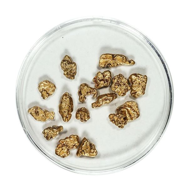 Gold Nuggets 4.47 Grams Total Weight