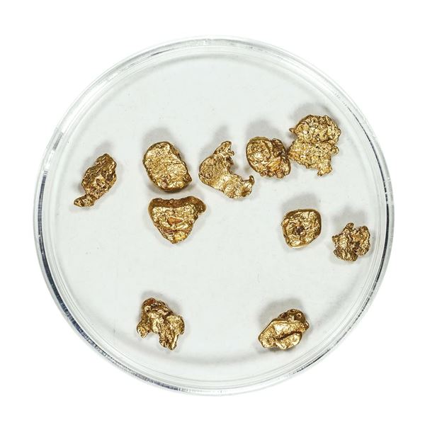 Gold Nuggets 2.97 Grams Total Weight