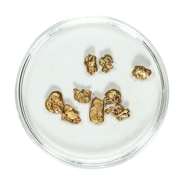 Gold Nuggets 2.47 Grams Total Weight