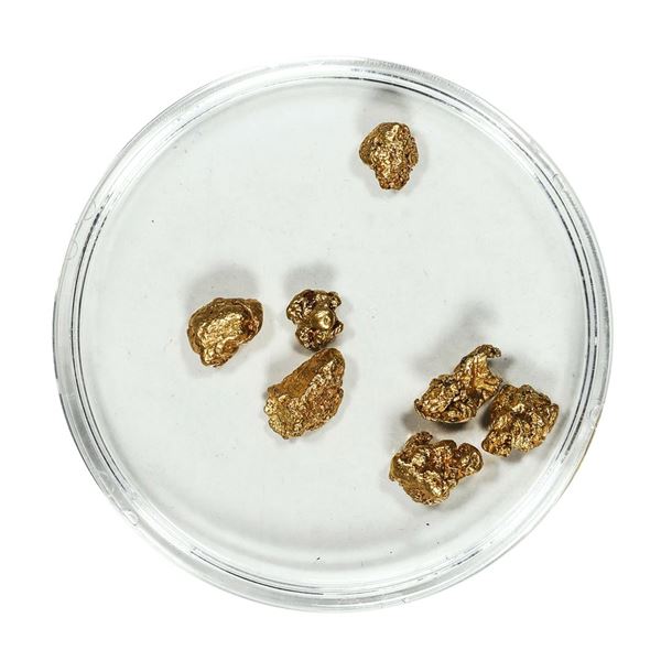 Gold Nuggets 3.64 Grams Total Weight