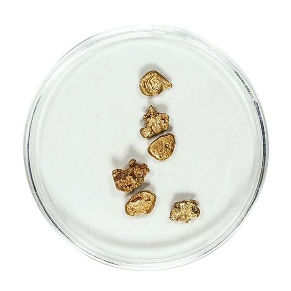 Gold Nuggets 1.69 Grams Total Weight