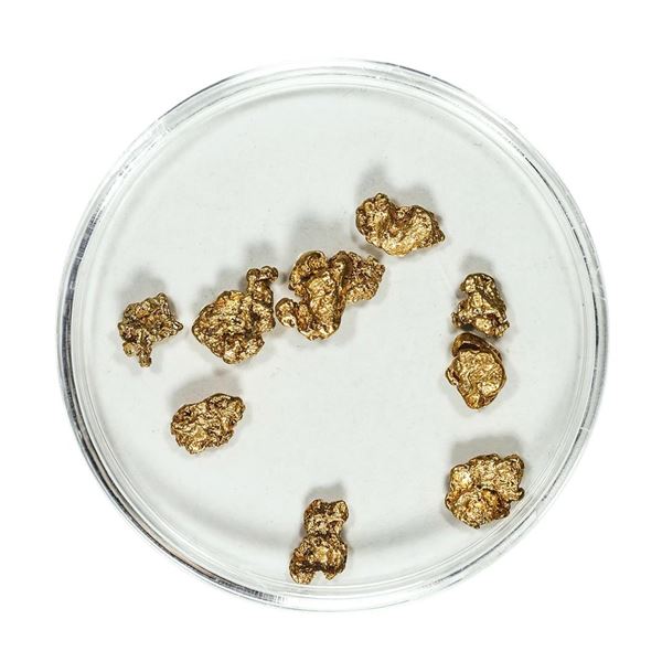 Gold Nuggets 3.11 Grams Total Weight