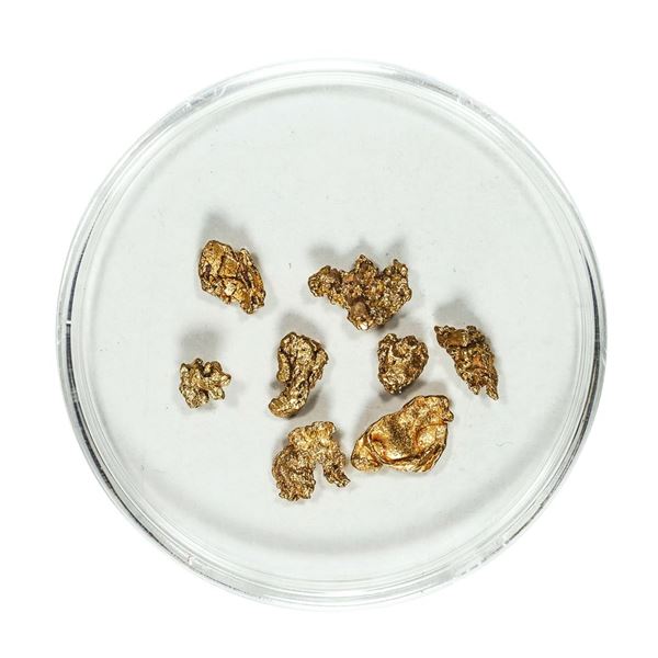 Gold Nuggets 1.73 Grams Total Weight