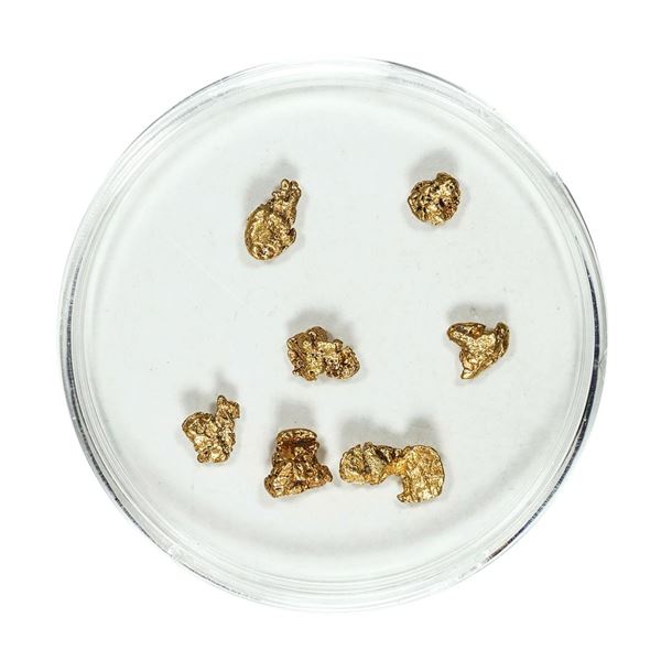 Gold Nuggets 1.68 Grams Total Weight