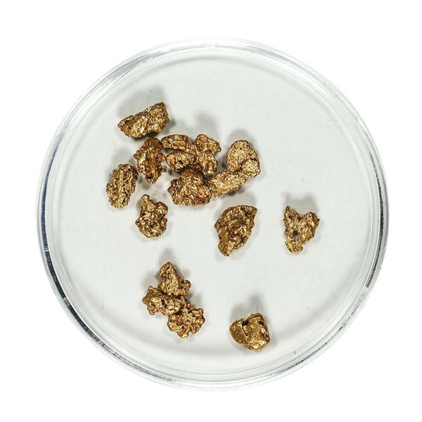 Gold Nuggets 3.19 Grams Total Weight