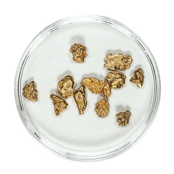 Gold Nuggets 3.00 Grams Total Weight