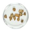 Image 1 : Gold Nuggets 3.00 Grams Total Weight