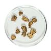 Image 1 : Gold Nuggets 3.65 Grams Total Weight