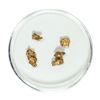 Image 1 : Gold Nuggets 1.56 Grams Total Weight