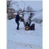 Image 7 : Poulin Pro Gas Powered Snowblower
