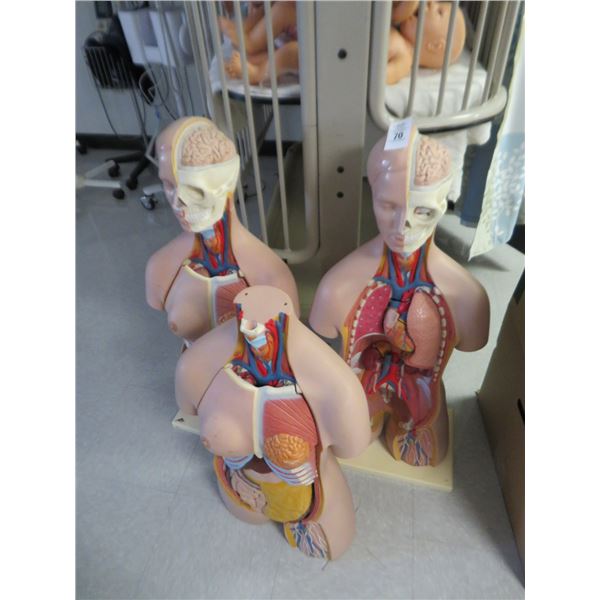 3-Medical Mannequin Tutorial Model - 3 X $