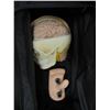 Image 4 : Laerdal Sim Baby Case w/Tutorial Accessories