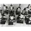 Image 2 : 12-Labpaq Microscopes - 12 X $