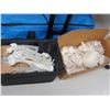 Image 1 : Medical Bone Display Asst. Parts
