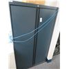 Image 1 : Blue Metal Storage Cabinet
