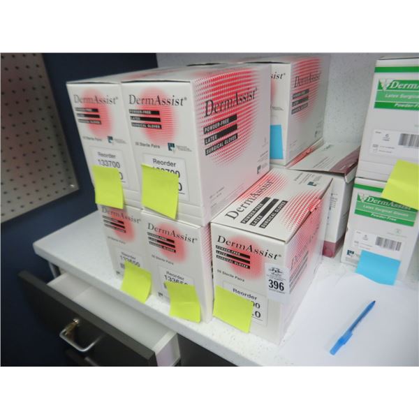 Latex Gloves (12 Cases)