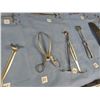 Image 8 : Asst. Surgical Hand Tools