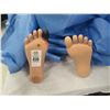 Image 2 : Surgical Procedure Mannequin