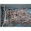 Image 2 : Bone Tray w/Surgical Instruments