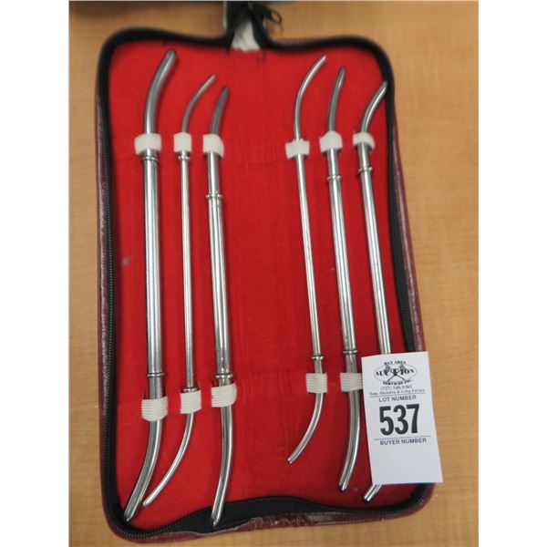 Hegar Dilators Set