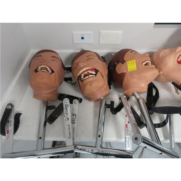 3-Dental Instructional/Mannequin Head - 3 X$