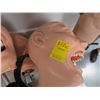 Image 2 : 5-Dental Instructional/Mannequin Head - 5 X $